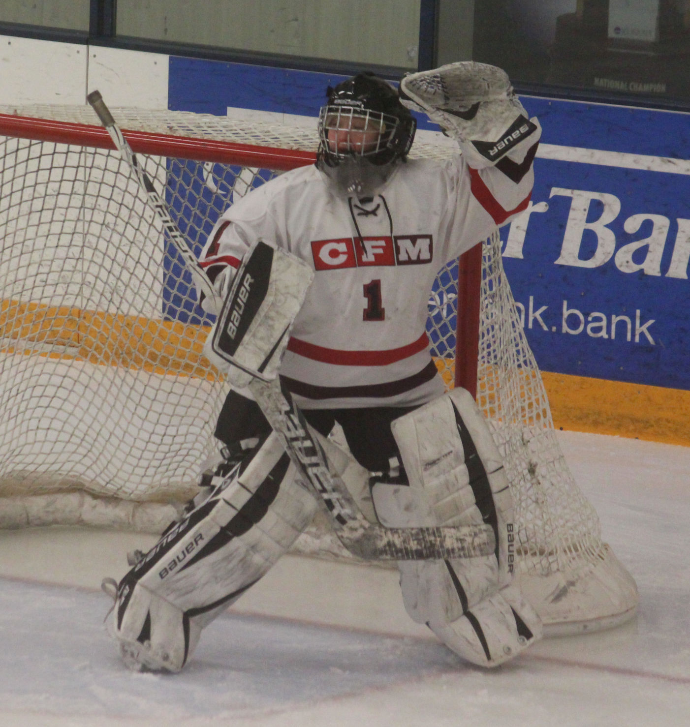 Chi-Hi/Menomonie girls hockey vs Appleton United at Eau Claire 12-28-17